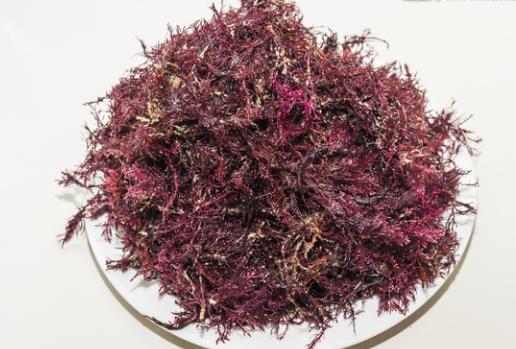 春季什么水果养胃 选择这四种让肠胃安心