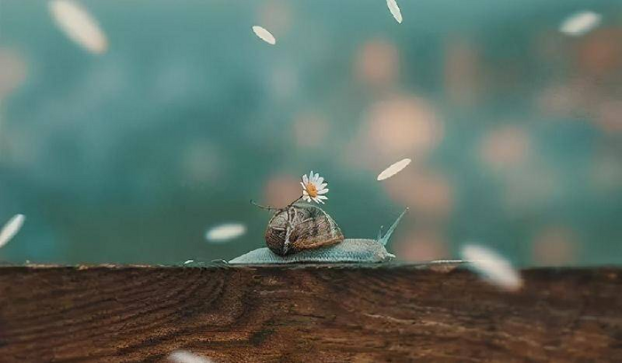 有什么办法对付一个自私小气的男人（对付自私脾气大的男人的绝招）(图8)