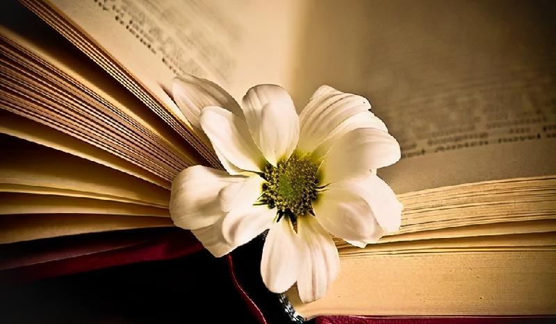 有什么办法对付一个自私小气的男人（对付自私脾气大的男人的绝招）(图6)