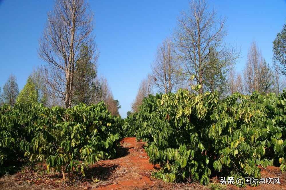 vientiane哪个国家？老挝国家简介