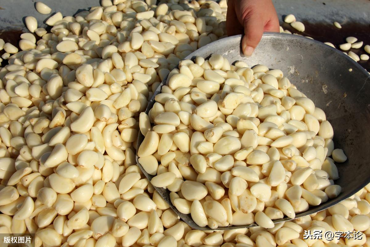 大蒜是荤的还是素的（为何“蒜”是荤菜）(图6)