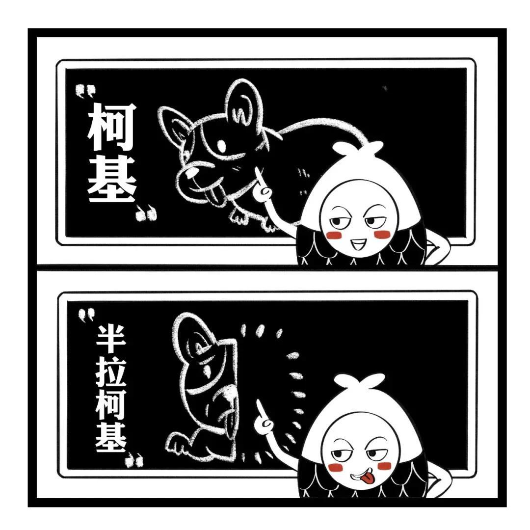 东北话骂人最狠的脏话语音(东北话十级经典语录骂人)(图7) 东北话骂人最狠的脏话语音(东北话十级经典语录骂人)(图7)