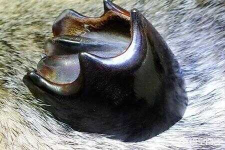 鬼吹灯四大门派之发丘天官(鬼吹灯之发丘派代表人物)