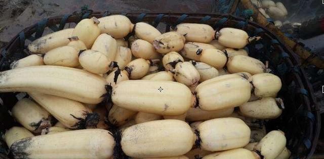 莲藕放久了变黑还能吃吗,莲藕买回来放了好多天了,削皮后里面有的地方黑黑的,还有很多棕色的点点,可是没有异味。能吃吗?图12