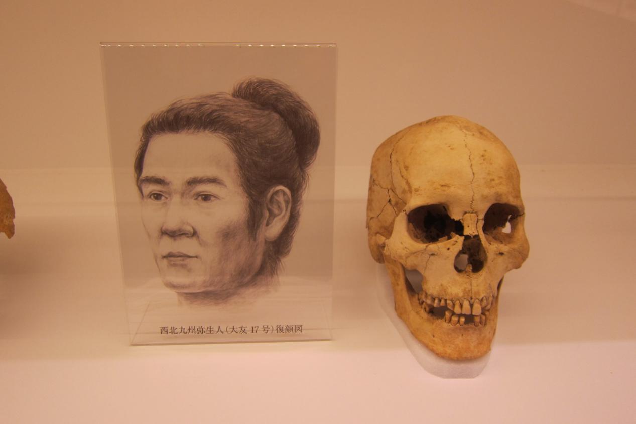 日本人的祖先来自哪里百度百科(日本人的祖先来自哪里)(图6) 日本人的祖先来自哪里百度百科(日本人的祖先来自哪里)(图6)