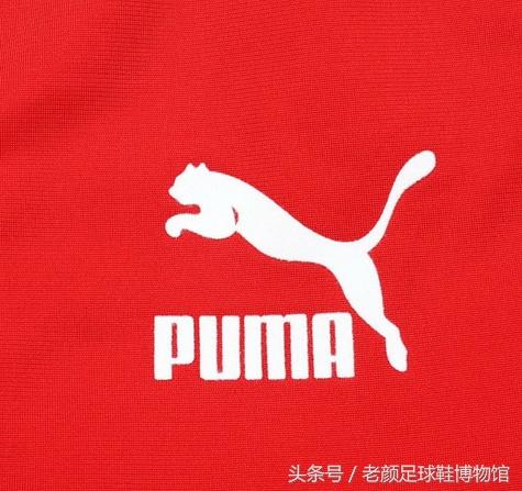 足球鞋分类（足球鞋品牌大百科）(113)