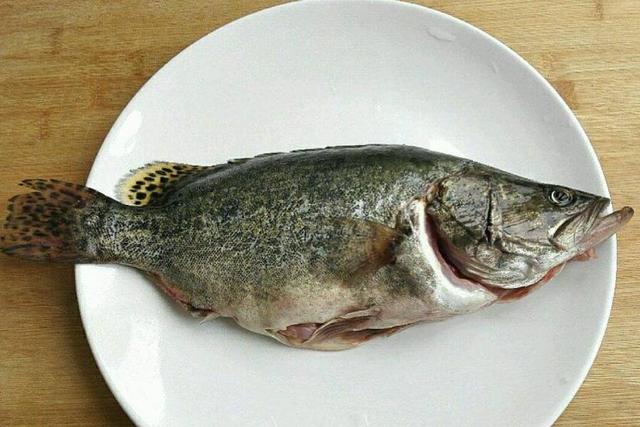 鳜鱼养殖方法与技巧（养殖鳜鱼需要注意要点）(1)