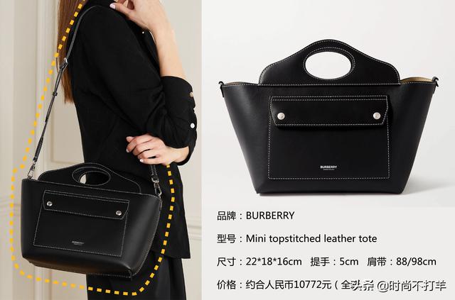 巴宝莉格子包包最新款（8款春季最物超所值的奢侈品包包）(4)