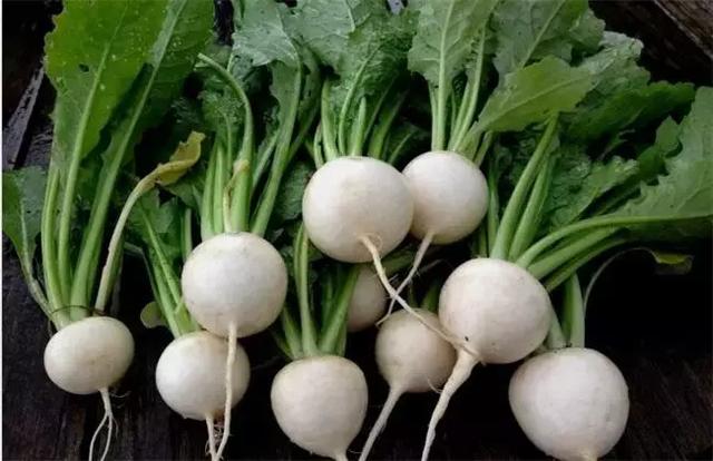 六种不同颜色可以生吃的蔬菜（12种蔬菜的N种四川喊法）(11)