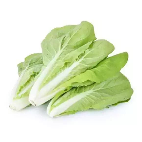 六种不同颜色可以生吃的蔬菜（12种蔬菜的N种四川喊法）(14)