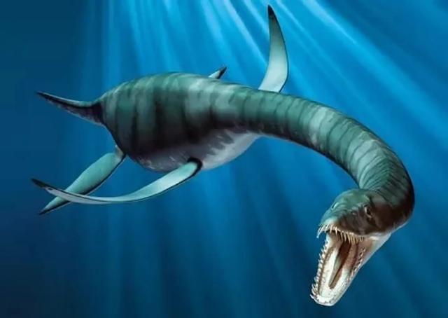 美媒再次发现尼斯湖水怪（尼斯湖水怪再现身）(3)