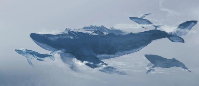 美媒再次发现尼斯湖水怪（尼斯湖水怪再现身）(8)