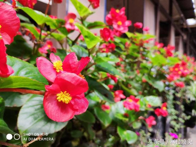 小米8评测探索版(小米8透明探索版深度评测)(11)