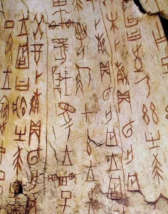 甲骨文怎么写(图文讲解甲骨文的书写方法)