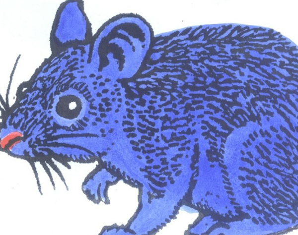 记取!鬼最怕的七种人,鬼最怕的七种生肖(妊妇头顶金光护体)