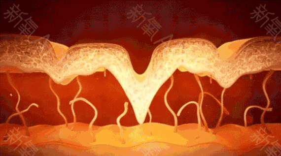 美容仪到底管用吗（揭秘美容仪黑幕）(19)