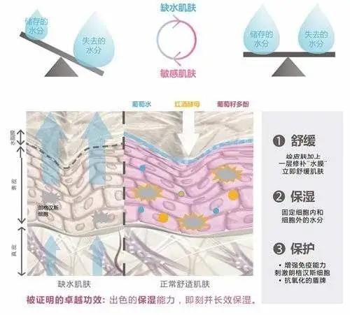 保湿补水和舒缓补水的区别（补水和保湿有什么区别）(2)