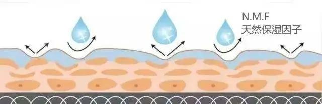 保湿补水和舒缓补水的区别（补水和保湿有什么区别）(4)