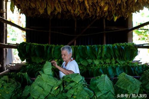 罗密欧朱丽叶雪茄三支(罗密欧与朱丽叶)(2)