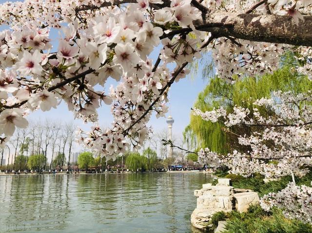 人间最美四月天山河无恙（人间最美四月天）(1)