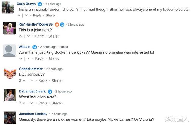 wwe最新人物名单(WWE名人堂2022官宣第三人)(4)