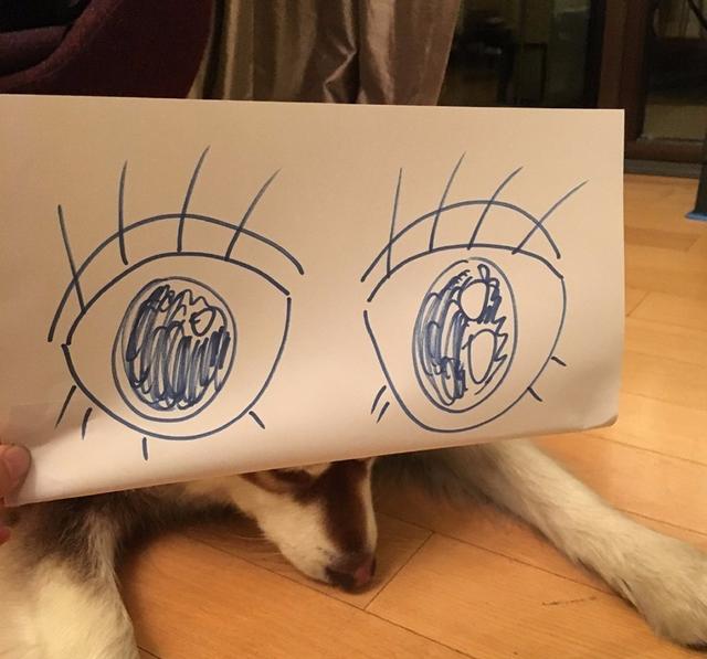 10大腹肌女明星图(谁的A4腰水分最大)(15)