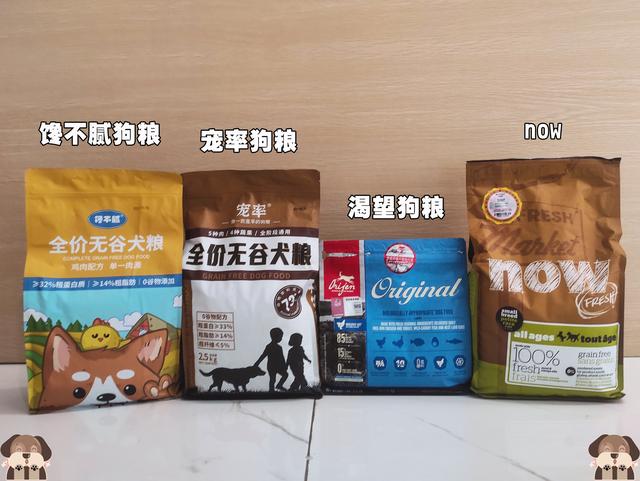 德牧犬适合女生养(女生的梦中情狗)(7)