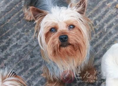 皮肤过敏该怎么处理(过敏了怎么办最简单)(2)