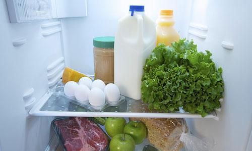 动物储存食物的方法有哪些