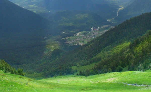 大天然果然很神秘?比恐龙更恐怖10种动物