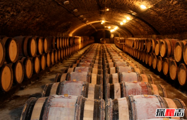 橡树象征着什么意义?橡树的十大外形特征和作用