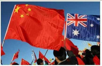 土澳什么意思，带你了解这一词的真正含义