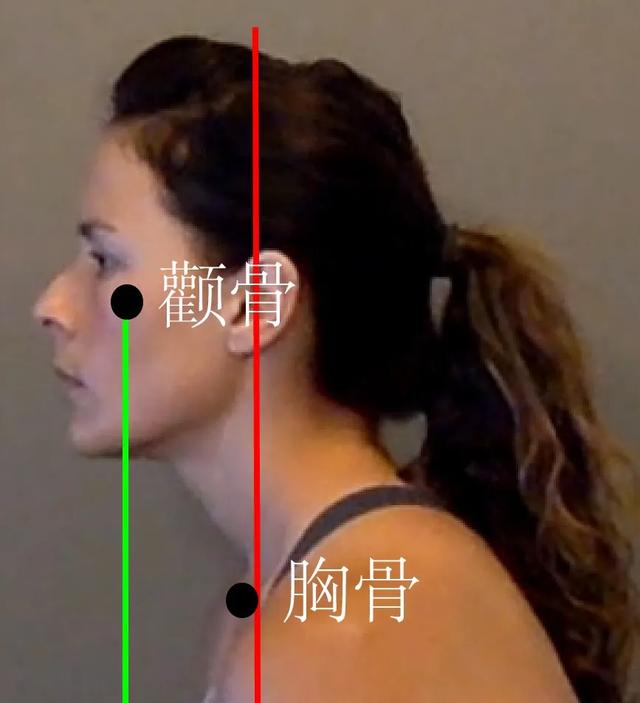 最好看的颈肩（拥有天鹅颈香肩）(11)