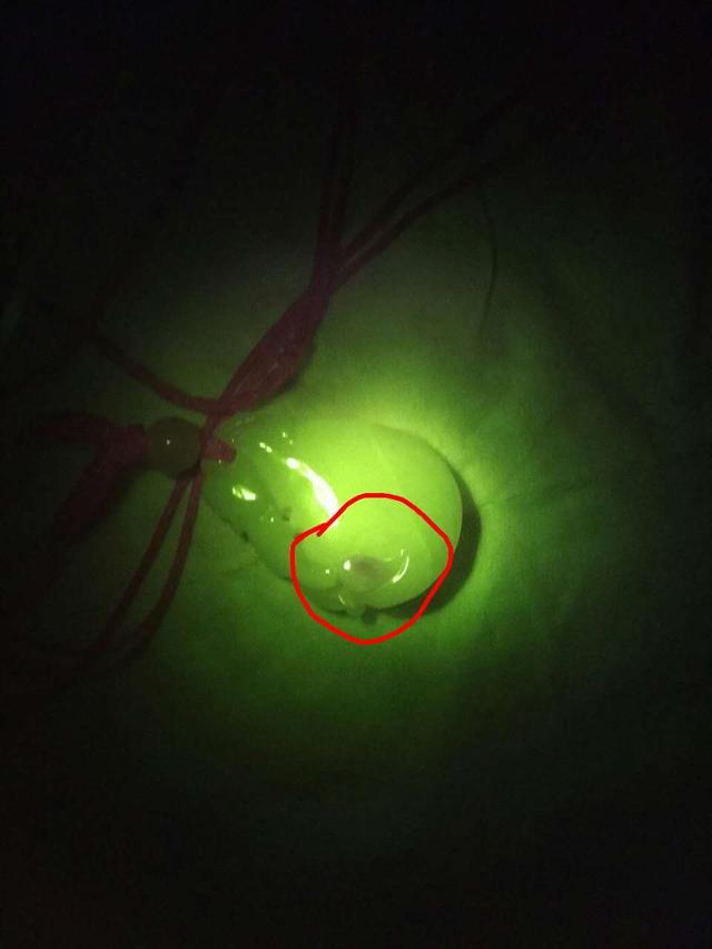 如何在家鉴定玉石翡翠(给大家介绍下在家也能鉴定翡翠玉器的方法)(6)