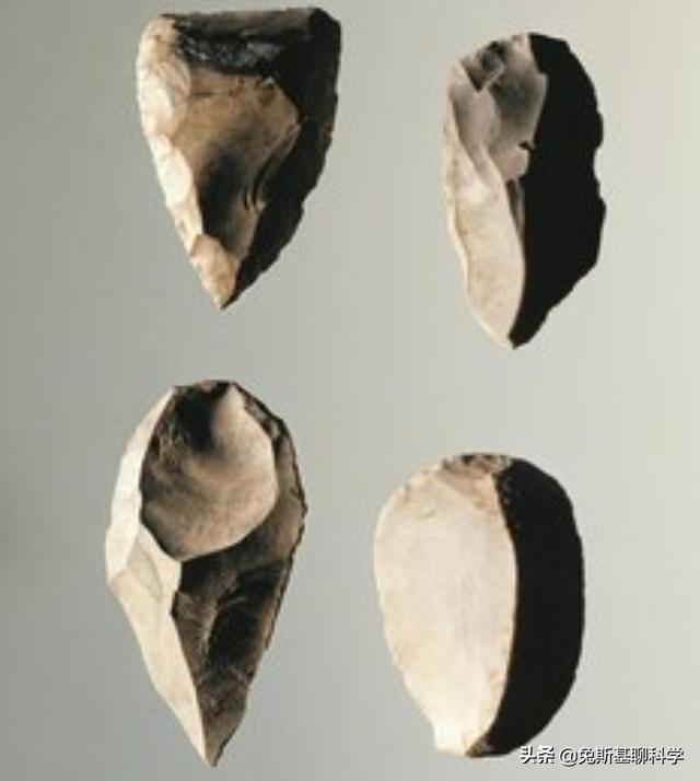 巴拿马猴子进入石器时代将来会威胁到人们吗（巴拿马猴进入石器时代会成人类吗）(图3)