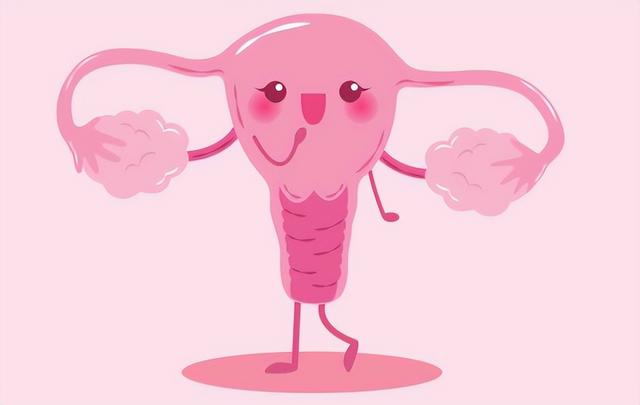 所有女性的身高体重对照表(176cm标准体重对照表)(5)