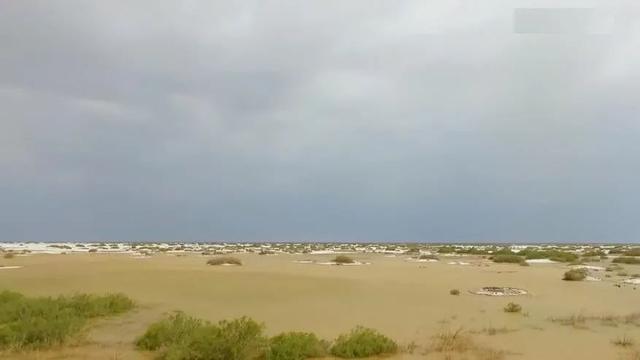 塔克拉玛干沙漠突然发大洪水了(塔克拉玛干沙漠突发洪水)(6)