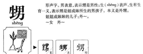 弄璋之喜打一字,经典谜语图2