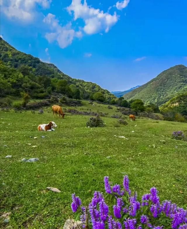 读书的好处有哪些，读书的好处有哪些10条？图3