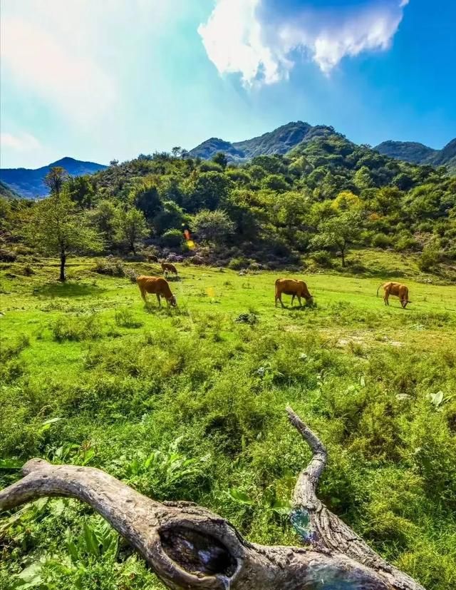 读书的好处有哪些，读书的好处有哪些10条？图4