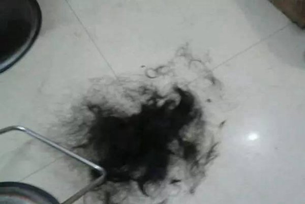 剪发店的碎头发去哪了?究竟吓坏分子!(创造酱油)