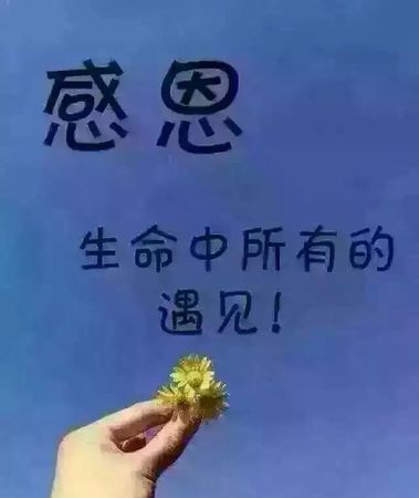 感恩遇见的简短句子