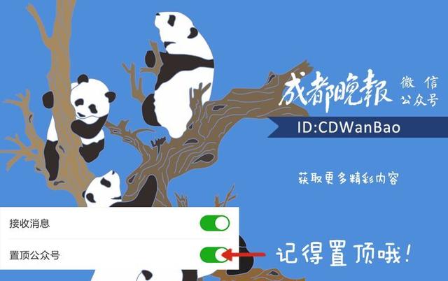 共享单车私自上锁怎么解决(骑完共享单车忘记上锁)(11)