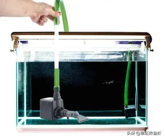 养锦鲤的鱼缸水浑浊怎么办(锦鲤鱼缸水浑浊原因和解决方案)(图6) 养锦鲤的鱼缸水浑浊怎么办(锦鲤鱼缸水浑浊原因和解决方案)(图6)