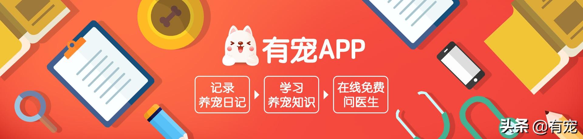 狂犬病的预防要6条小知识(知道这些你就不怕了)(5)