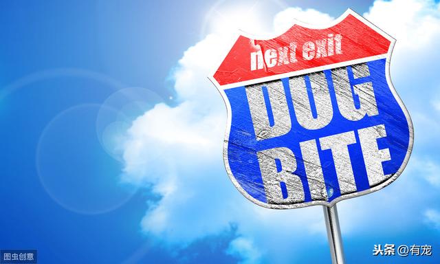 狂犬病的预防要6条小知识(知道这些你就不怕了)(4)