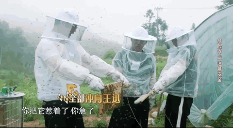 向往的生活黄渤来了黄磊真的开心(黄渤捣乱向往的生活)(6)