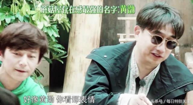 向往的生活黄渤来了黄磊真的开心(黄渤捣乱向往的生活)(9)