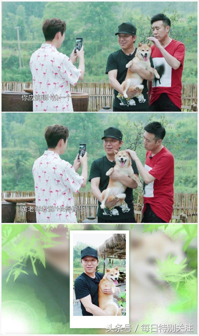 向往的生活黄渤来了黄磊真的开心(黄渤捣乱向往的生活)(4)