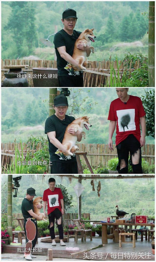 向往的生活黄渤来了黄磊真的开心(黄渤捣乱向往的生活)(3)